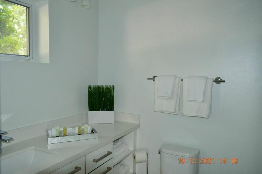 Across The Ocean Few Steps To Beach Contemporary Three Bedroom Townhouse Pompano Beach Esterno foto